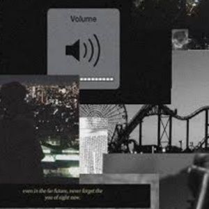 Meet your Posher, Ava